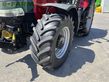 Tractor agrícola - Case IH - puma 185 cvx tractor (st23679) CVX
