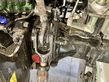 Tractor agrícola - Steyr - 4065 kompakt s (stage v)