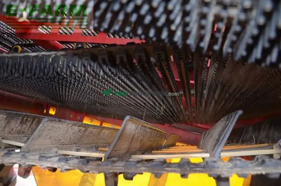 Cosechadora - arrancadora de patata - Grimme - se 260 ub