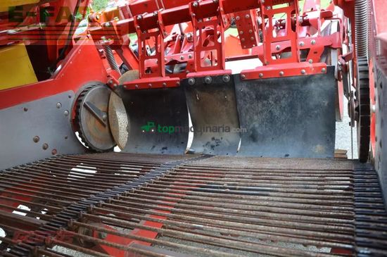 Cosechadora - arrancadora de patata - Grimme - evo 290 clodsep