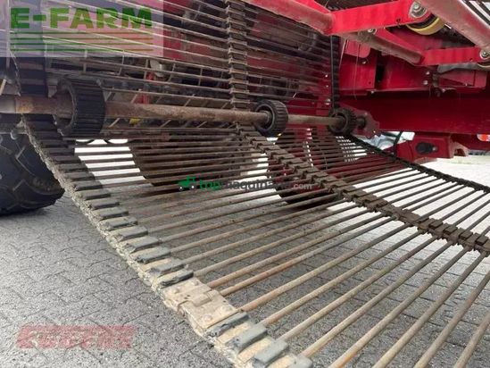 Cosechadora - arrancadora de patata - Grimme - evo 280 clodsep