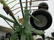Henificador - Krone - swadro ts 680