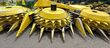 Cabezal - John Deere - 490 Plus