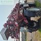 Atomizador -  - FarmGEM Sapphire III