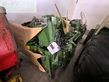 Cabezal - Krone - x-collect 900-3