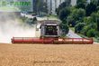 Cosechadora de Cereal - Claas - lexion 780 tt *allrad* + v1230
