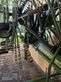 Rastrillo - Krone - swadro tc 1000