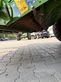 Empacadora gigant - Krone - comprima v 210 xc