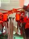 Sembradora monograno mecanica - Maschio - mirka 8 reihen