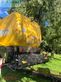 Cosechadora de Cereal - New Holland - csx 7040