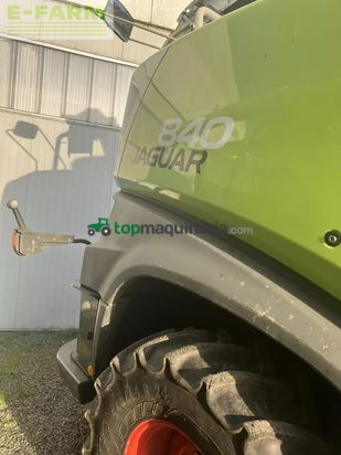 Cosechadora de Cereal - Claas - ensileuse claas jaguar t4f