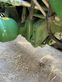 Tractor agrícola - John Deere - 6155r