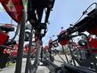 Henificador - Massey Ferguson - td 1310 x trc, wie neu !