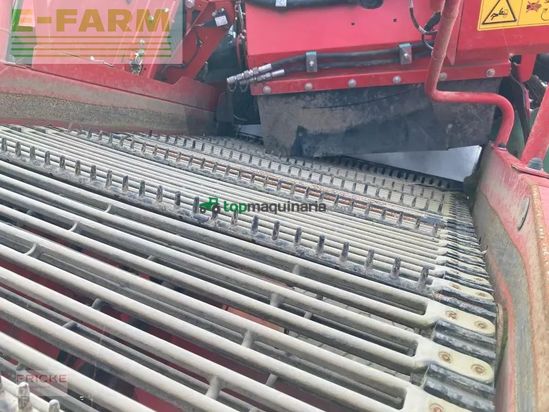 Cosechadora - arrancadora de patata - Grimme - evo 260 ub nonstop