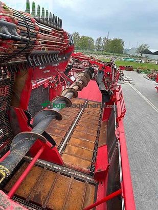 Cosechadora de Cereal - Grimme - rexor 6300 platinum