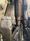 Cabezal - Claas - cornspeed 6-75c