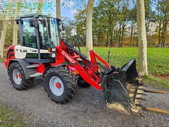 Minicargadora - Terex - tl 65 wiellader minishovel radlader shovel