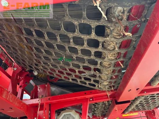 Cosechadora - arrancadora de patata - Grimme - maille de calib