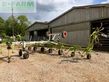 Henificador - Claas - volto 1300 t