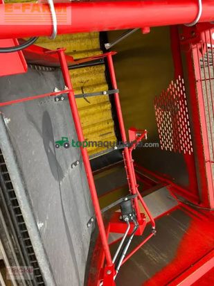 Cosechadora - arrancadora de patata - Grimme - evo 280 clod sep ub