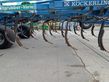 Cultivador - Kockerling - vario 570