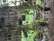 Henificador - Claas - VOLTO 1100