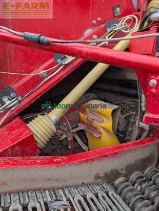 Cosechadora - arrancadora de patata - Grimme - se 75-55 ub