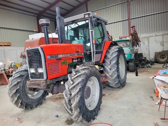 Tractor agrícola - Massey Ferguson - 3650 DT