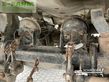 Cisterna - Kotte - pt 18500/5