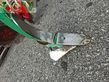 Cultivador - Regent - msg 300 mit stabwalze