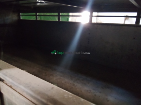 Transporte de ganado - Ifor Williams - TA5G106