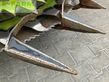 Cabezal - Claas - orbis 750 transportsystem
