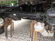 Tractor agrícola -  - unimog u 527