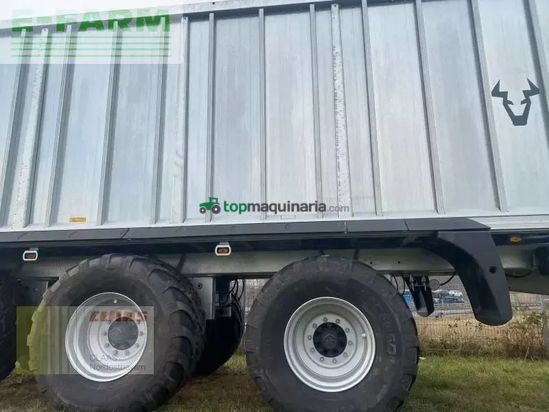 Cinta transportadora de forraje - Fliegl - asw 391 taurus fox tridem