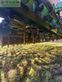 Sembradora - Amazone - kg 302 und d9-30
