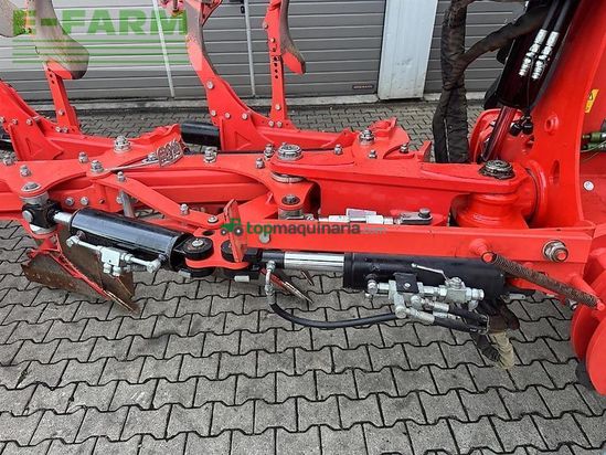 Arado - Maschio - unico l5 +vario nsh