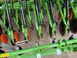 Sembradora - Amazone - kx mit cataya spezial