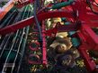 Grada de disco - Agro-Masz - bt 5.0