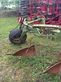 Arado - Krone - fidux as 180/7