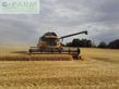 Cosechadora de Cereal - New Holland - cx8080