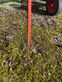 Rastrillo - Claas - liner 1800 twin
