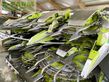 Cabezal - Claas - orbis 900