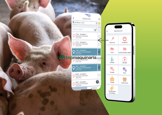 PIG´UP de Isagri PROGRAMA INFORMATICO PARA EL SECTOR PORCINO