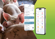PIG´UP de Isagri PROGRAMA INFORMATICO PARA EL SECTOR PORCINO