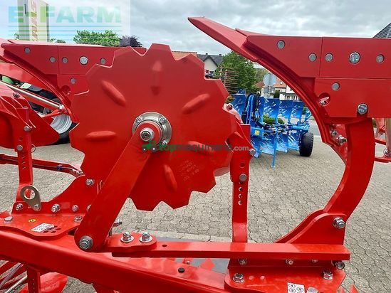 Arado - Maschio - unico m passo 4+