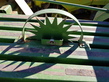 Empacadora gigant - Krone - 1290 HDP