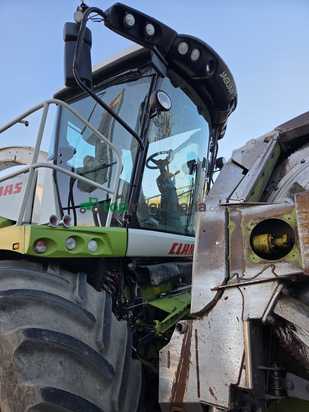 Cosechadora picadora  Claas - JAGUAR 980