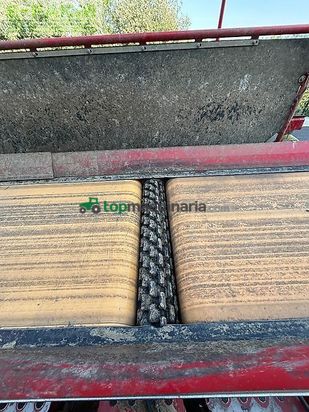 Cosechadora - arrancadora de patata - Grimme - rh 24-60 combi