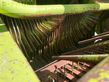 Empacadora gigant - Claas - quadrant 1200 rc