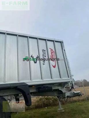 Cinta transportadora de forraje - Fliegl - asw 391 taurus fox tridem